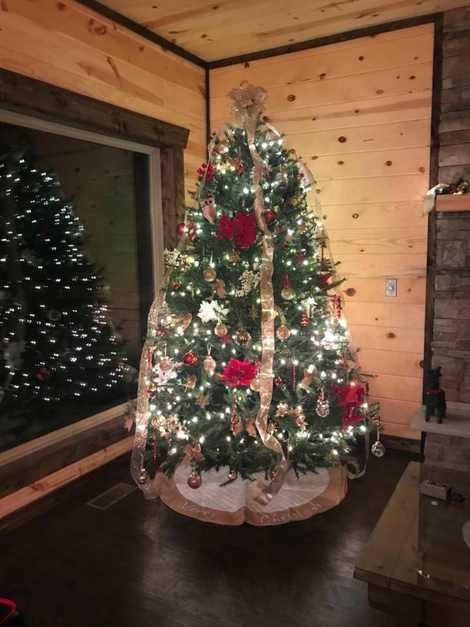 Chalet Village- Amazing Mountain Views - Piney Butt Place جاتلينبرج المظهر الخارجي الصورة